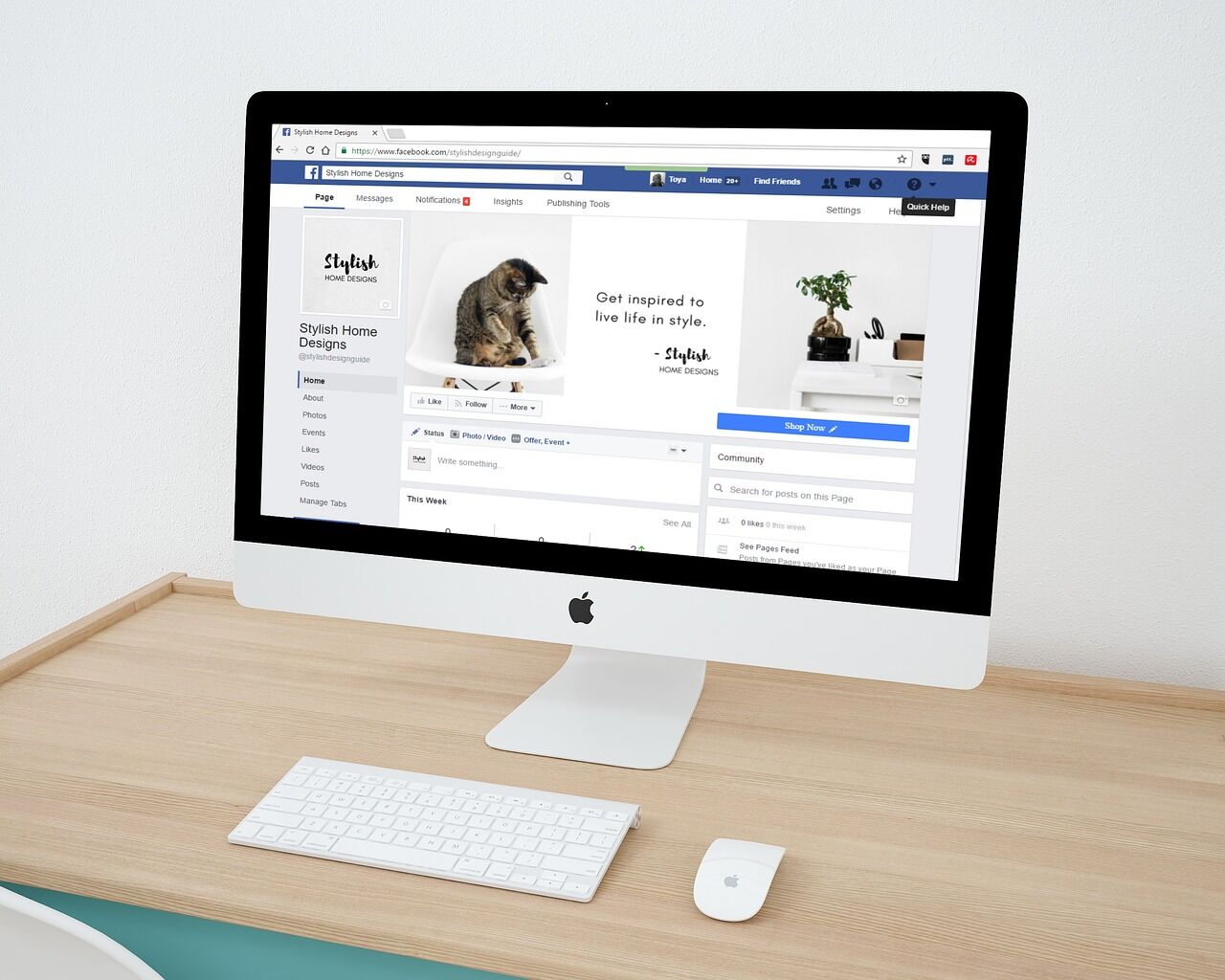 Social Media Business