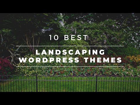 WordPress Website Theme Example