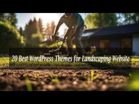 Step-by-Step WordPress Setup Guide